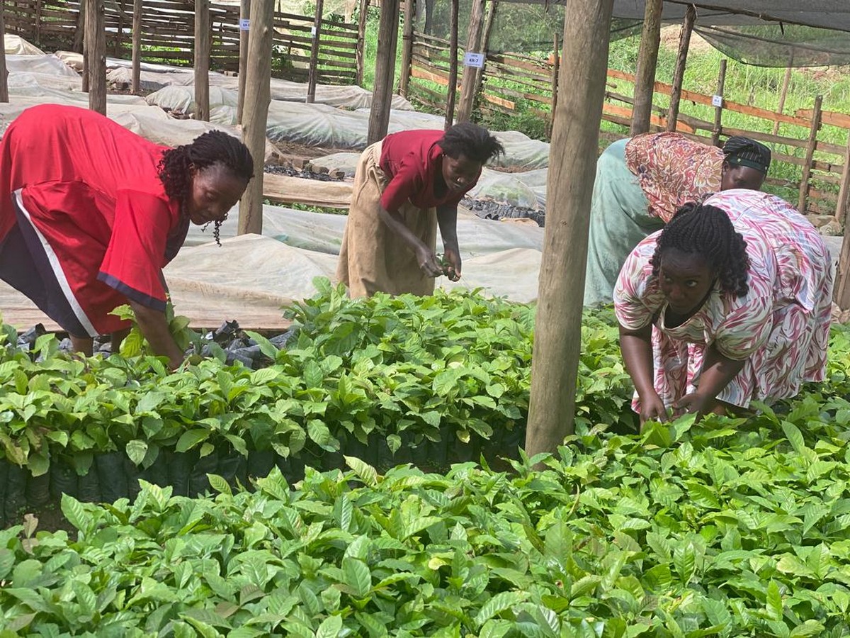 Self-help & Income Generating Programme