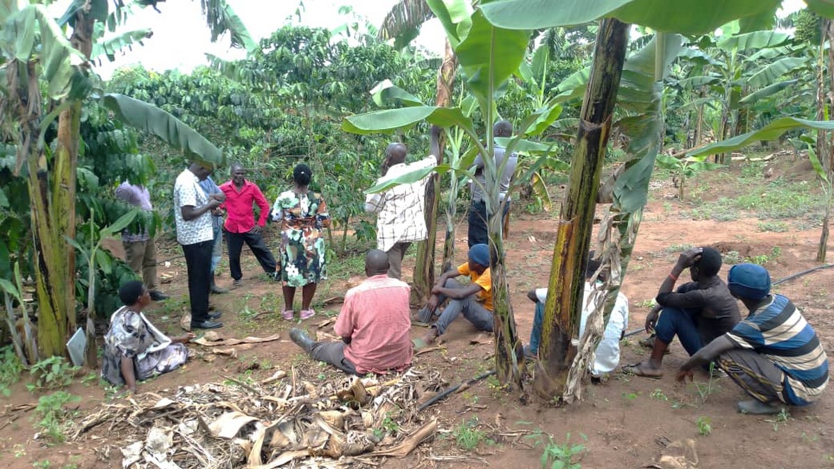 Agriculture, Environment & Health Programme